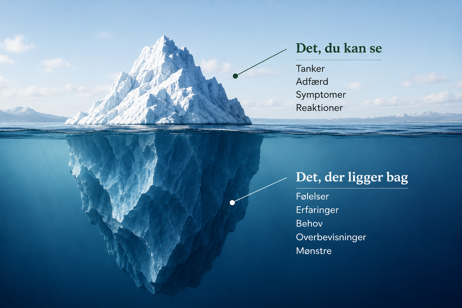 Isbjerg som illustration af synlige problemer og dybere mønstre
