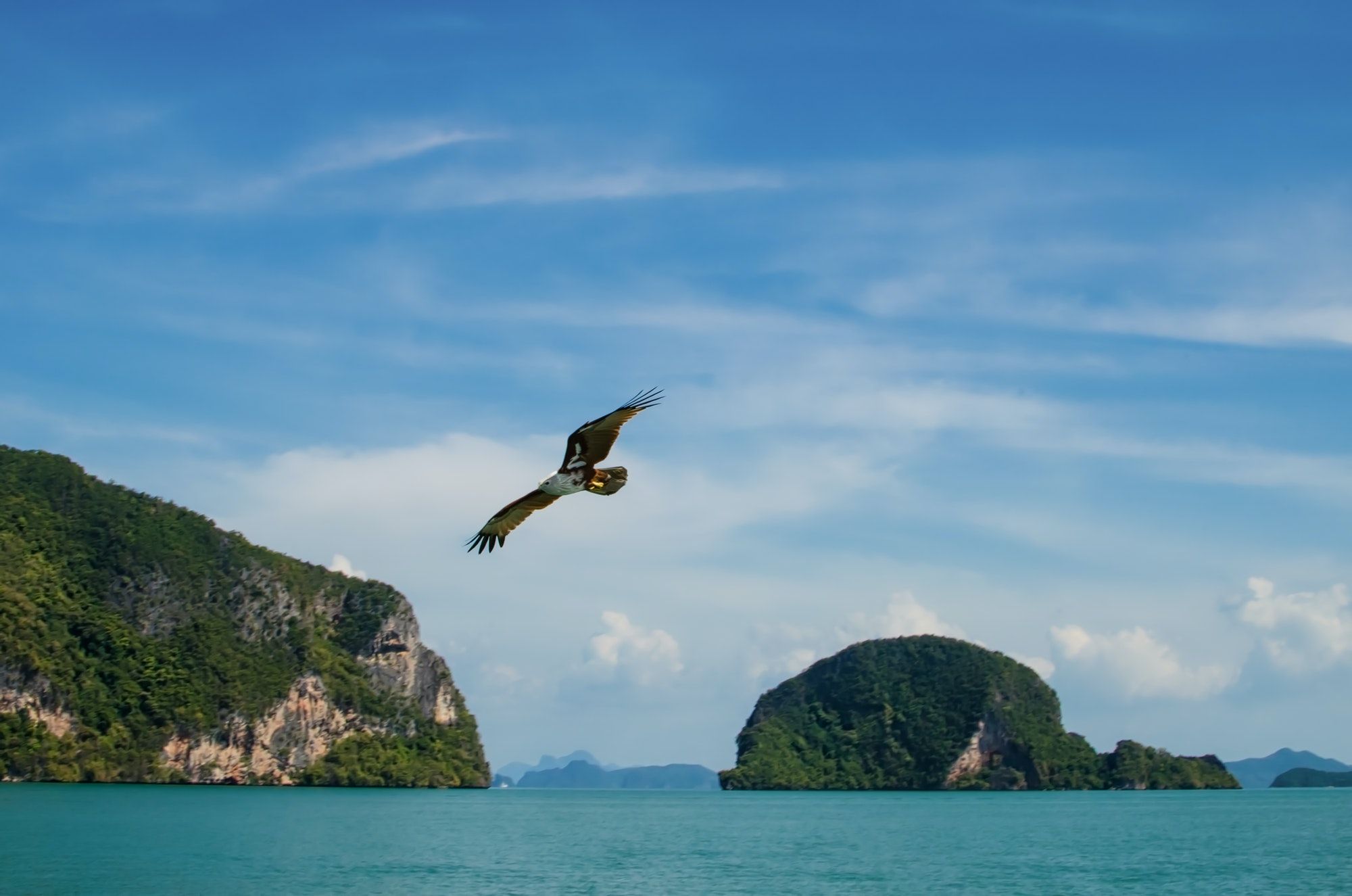 Eagle flying over the Andaman sea